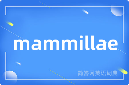 mammillae