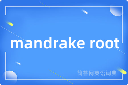 mandrake root
