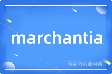 marchantia是什么意思,marchantia的中文翻译 marchantia