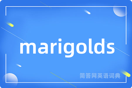 marigolds