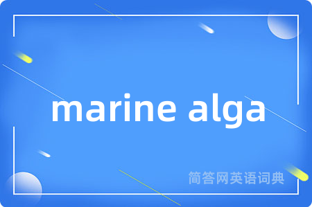 marine alga