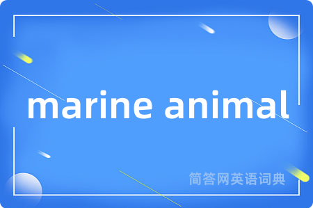 marine animal