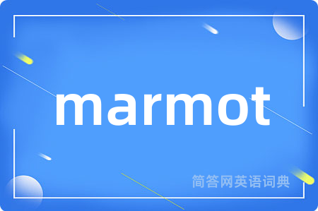 marmot