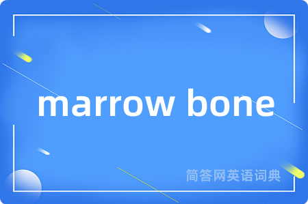 marrow bone