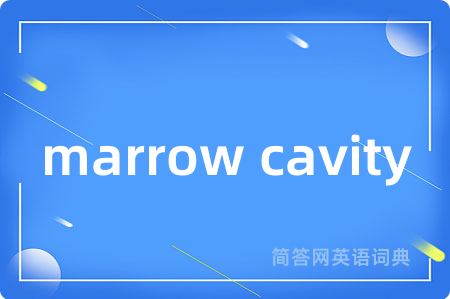 marrow cavity