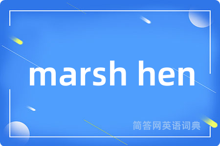 marsh hen