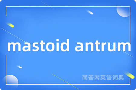 mastoid antrum