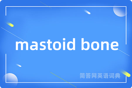 mastoid bone是什么意思,mastoid bone的中文翻译 mastoid bone