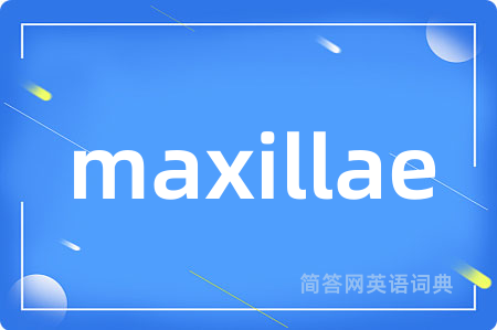 maxillae