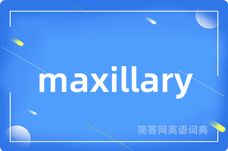 maxillary