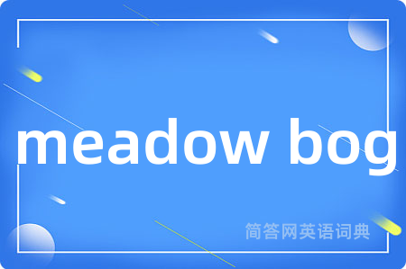 meadow bog是什么意思,meadow bog的中文翻译 meadow bog