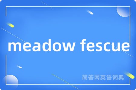 meadow fescue