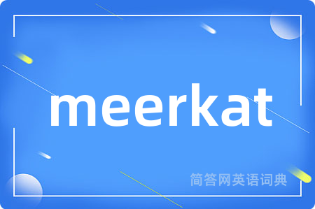 meerkat是什么意思,meerkat的中文翻译 meerkat