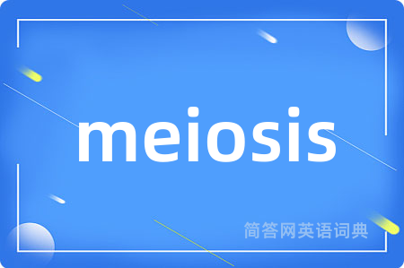 meiosis