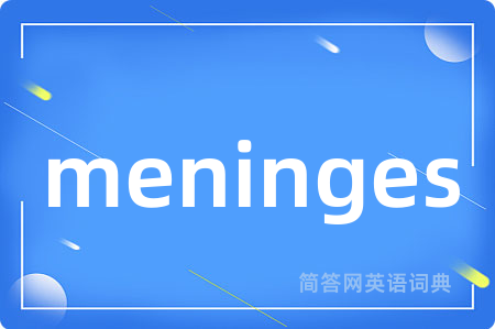 meninges是什么意思,meninges的中文翻译 meninges