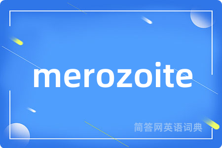 merozoite