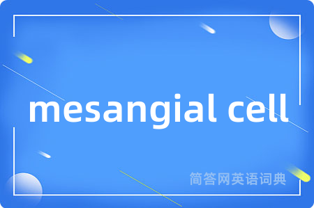 mesangial cell