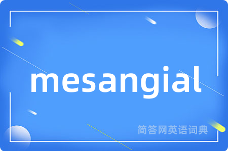 mesangial