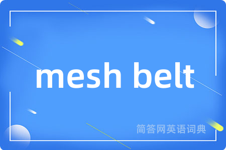mesh belt