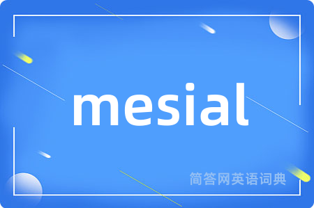 mesial
