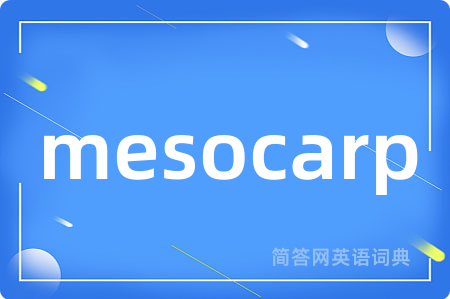 mesocarp