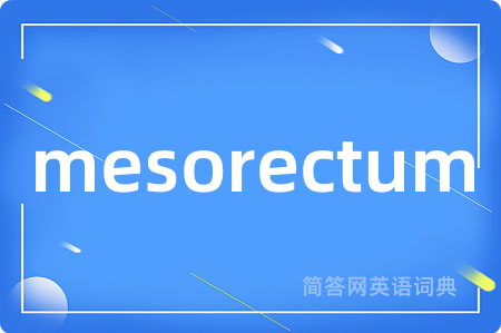 mesorectum