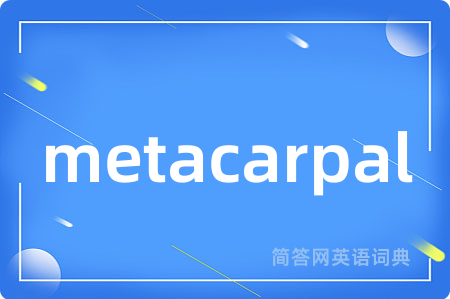 metacarpal