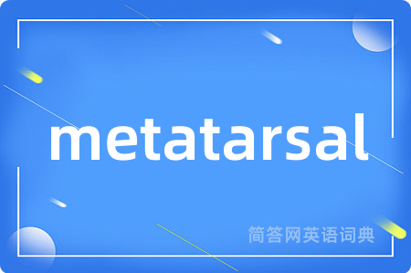 metatarsal