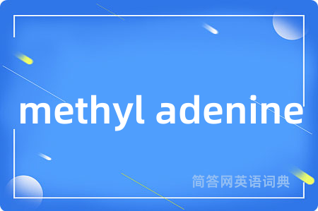 methyl adenine