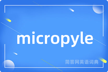 micropyle