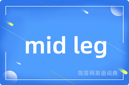 mid leg