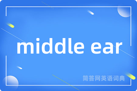 middle ear是什么意思,middle ear的中文翻译 middle ear