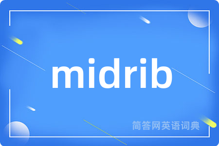 midrib