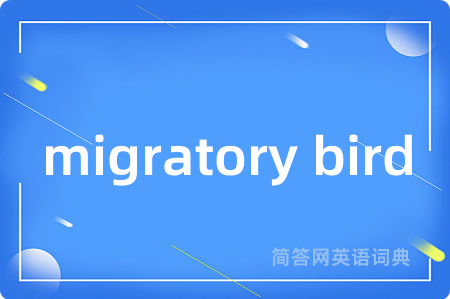 migratory bird