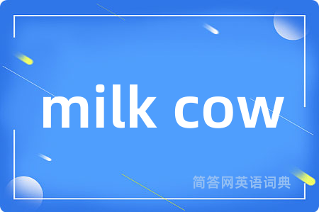 milk cow