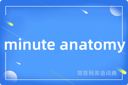 minute anatomy