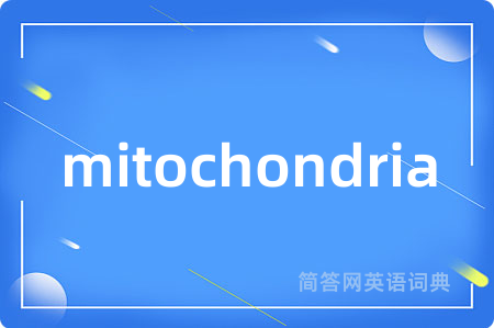 mitochondria
