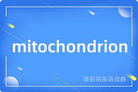 mitochondrion