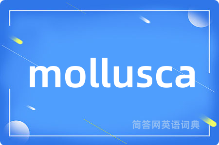 mollusca是什么意思,mollusca的中文翻译 mollusca