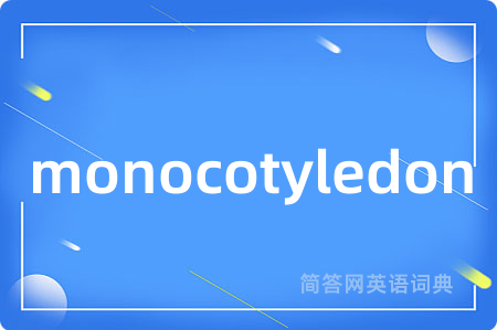monocotyledon