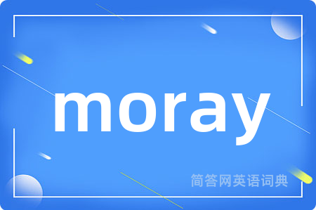 moray是什么意思,moray的中文翻译 moray
