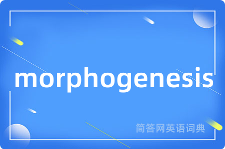 morphogenesis