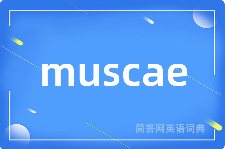 muscae