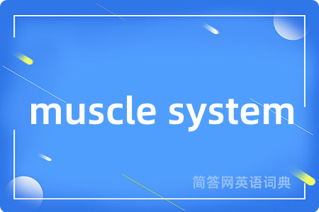 muscle system是什么意思,muscle system的中文翻译 muscle system