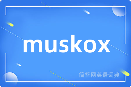 muskox