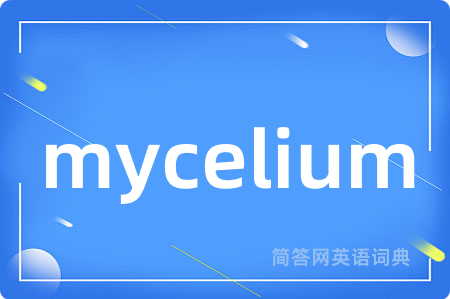 mycelium