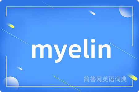 myelin是什么意思,myelin的中文翻译 myelin