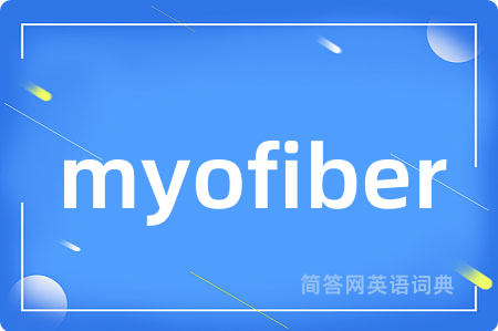 myofiber