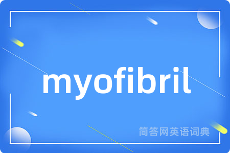 myofibril是什么意思,myofibril的中文翻译 myofibril