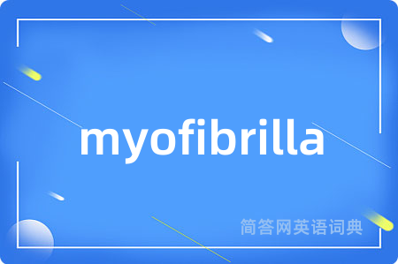 myofibrilla